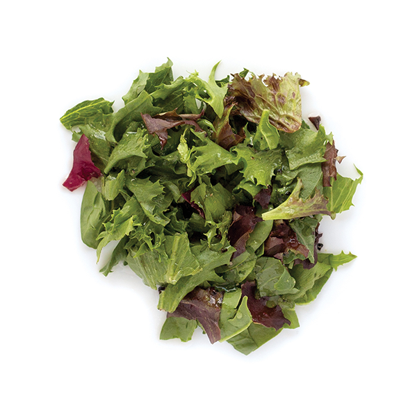 Fresh mixed salad greens