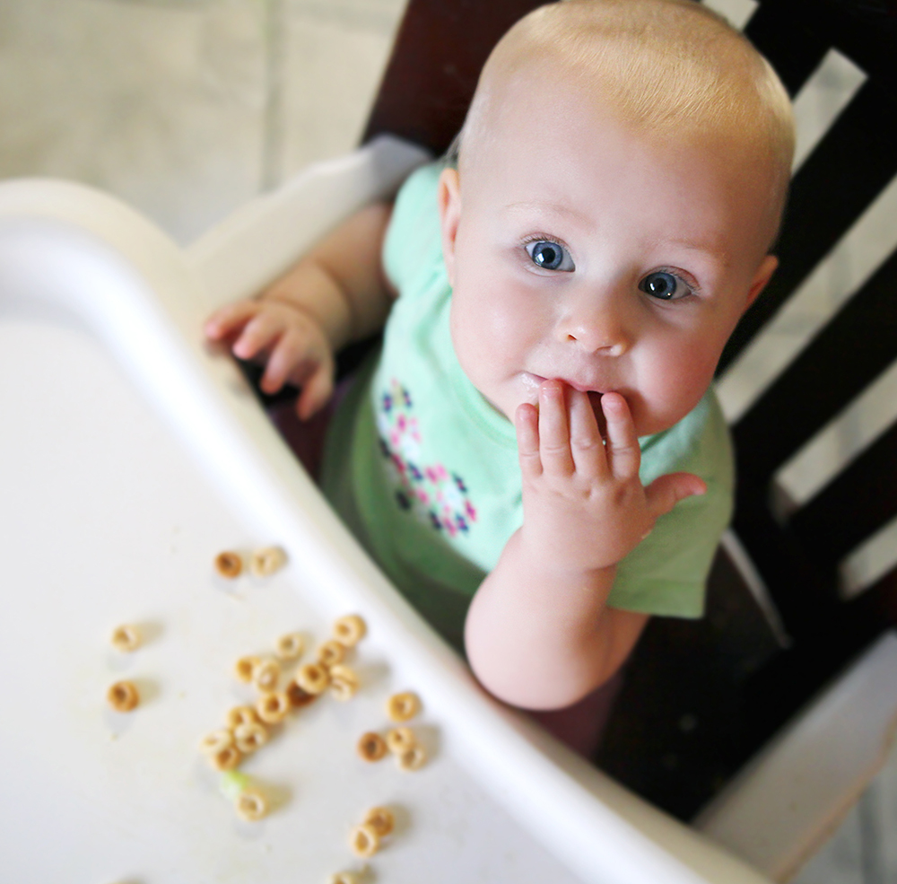 Feeding a 8-9 <br>Month Old